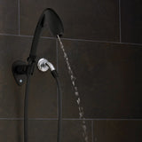 Oxygenics BodySpa RV Hand Held Shower Head (MPN: 26274)