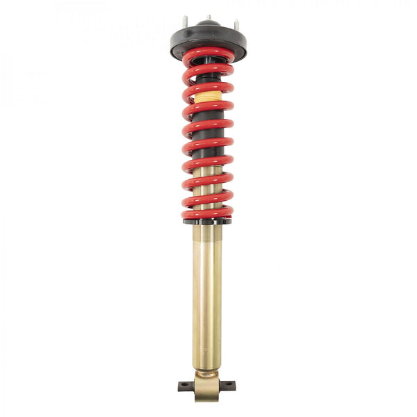 Coil Over Shock Absorber (MPN: 15307)