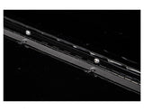 Buyers Products Gloss Black Diamond Tread Aluminum Topsider (MPN: 1721551)