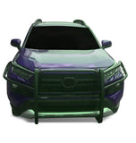 Black Horse Off Road Grille Guard (MPN: 17A093904MA)