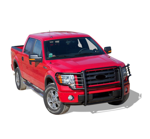 Black Horse Off Road Grille Guard (MPN: 17FP30MA)