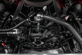 Holley Performance Accessory Drive Belt Kit (MPN: 20-242BK)