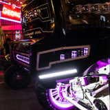 Rigid Radiance Plus RGBW Pod Lights (MPN: 202053)