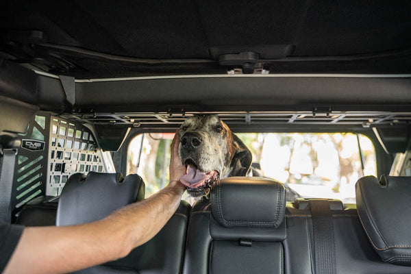 DV8 Offroad Dog Barrier (MPN: MPBR-10)