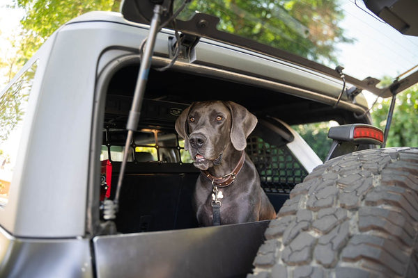DV8 Offroad Dog Barrier (MPN: MPBR-10)