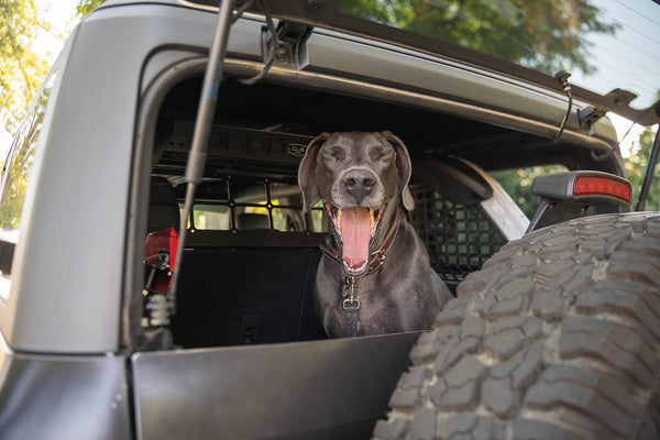 DV8 Offroad Dog Barrier (MPN: MPBR-10)