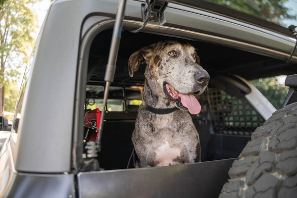 DV8 Offroad Dog Barrier (MPN: MPBR-10)