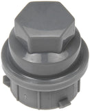 Dorman Lug Nut Cover (MPN: 611-621)