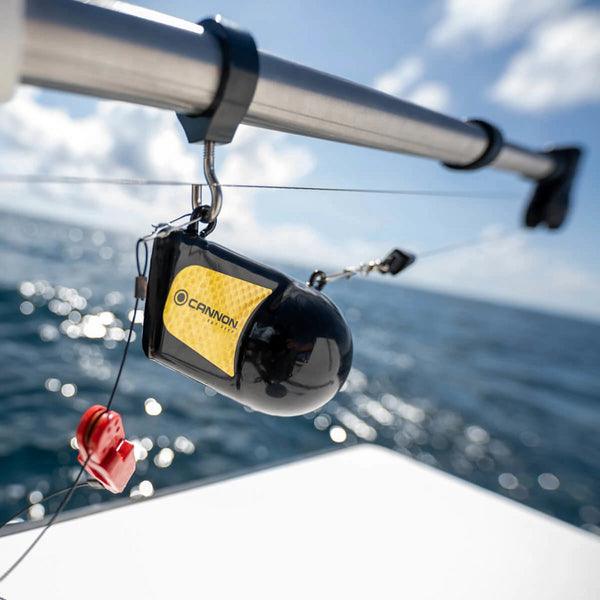 Cannon Downrigger Weight (MPN: 2295190)