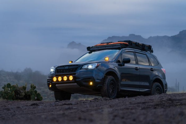 Rigid Lighting D-SS Series Pro LED Fog Light (MPN: 262214)