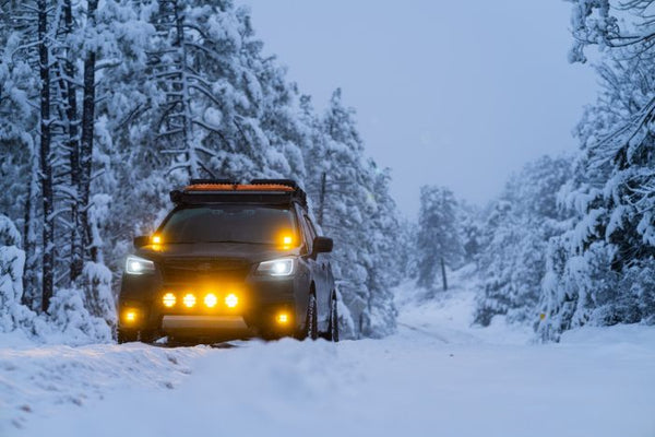 Rigid Lighting D-SS Series Pro LED Fog Light (MPN: 262214)