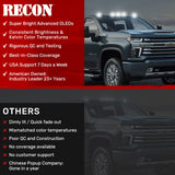 Recon Cab Marker Light (MPN: 264158CLHPWH)