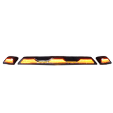 Recon Roof Marker Light (MPN: 264158XAM)