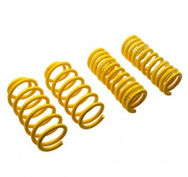 Suspension Techniques Coil Spring (MPN: 28230072)