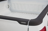 Bushwacker Tailgate Protector (MPN: 28510)