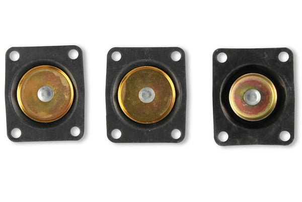 Holley Performance Carburetor Rebuild Kit (MPN: 37-1544)