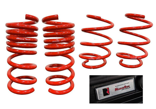 ROUSH Performance Lowering Kit (MPN: 422289)