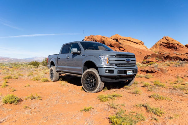 ReadyLIFT 6 Inch Lift Kit for Ford F-150 (MPN: 44-25620)