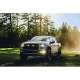 Rigid D-Series Pro LED Driving Fog Light (MPN: 502313)