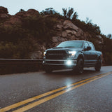 Rigid LED Fog Light D-Series (MPN: 504815)