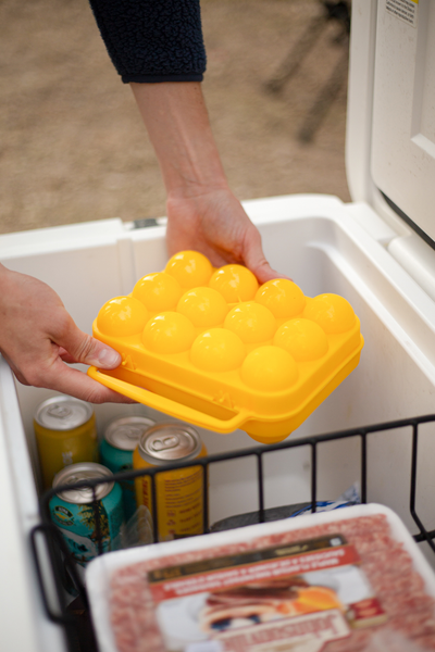 Coghlan's Egg Holder (MPN: 511A)