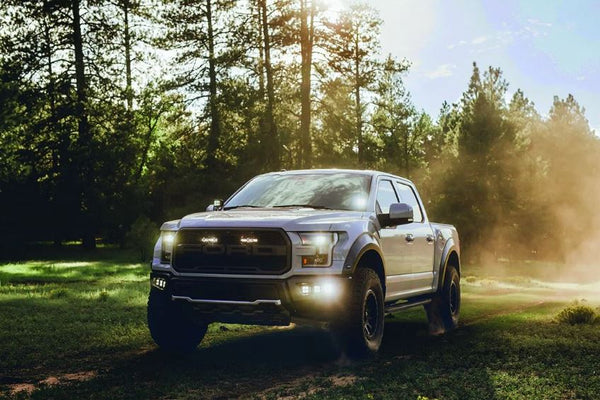 Rigid D-Series LED Driving Fog Light (MPN: 512313)