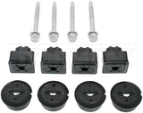 Dorman Body Mount Bushings (MPN: 523-541)
