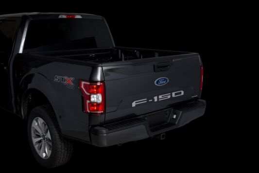 Putco Licensed Ford F-150 Letters (MPN: 55556FD)