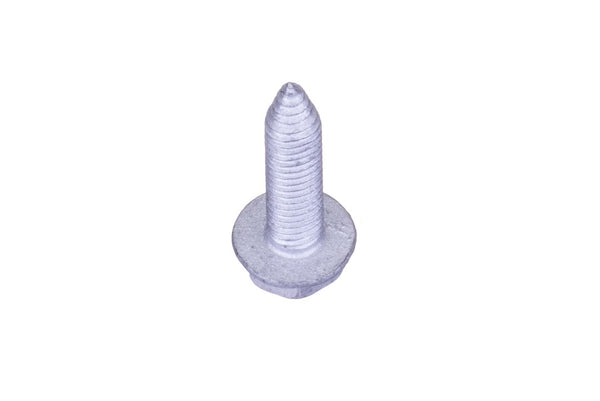 Norcold Refrigerator Bolt (MPN: 620333)