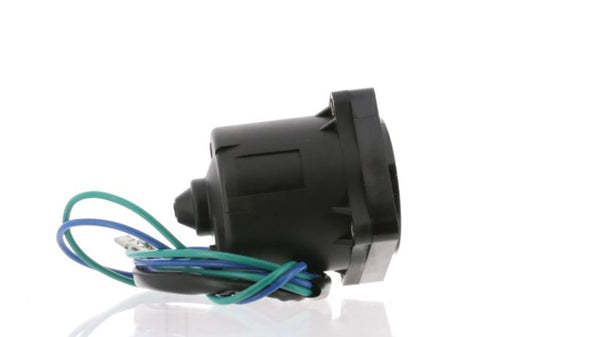 Outboard Tilt and Trim Motor (MPN: 6241)