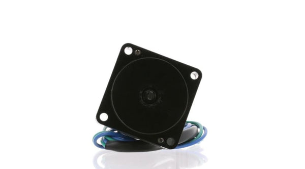 Outboard Tilt and Trim Motor (MPN: 6241)