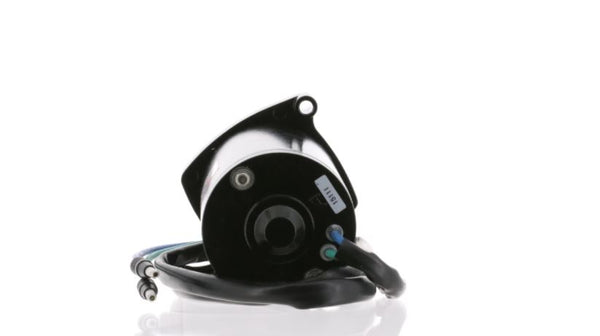 Outboard Tilt and Trim Motor (MPN: 6250)