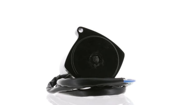 Outboard Tilt and Trim Motor (MPN: 6250)