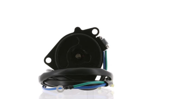 Outboard Tilt and Trim Motor (MPN: 6263)