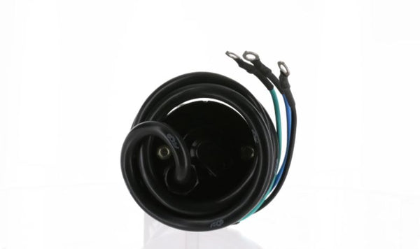 Outboard Tilt and Trim Motor (MPN: 6274)
