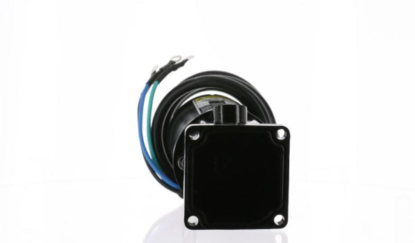Outboard Tilt and Trim Motor (MPN: 6274)