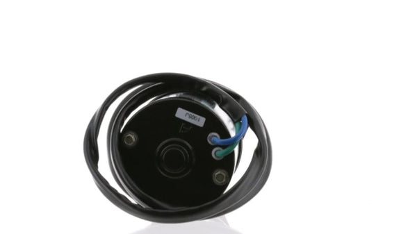 Outboard Tilt and Trim Motor (MPN: 6276)