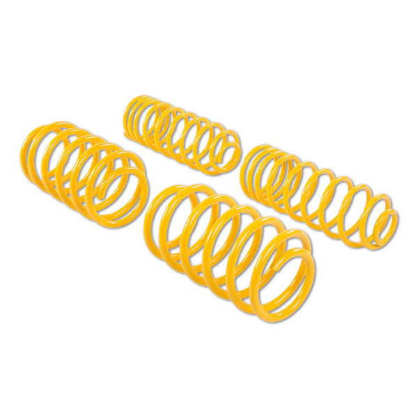 Suspension Techniques Lowering Kit (MPN: 65838)