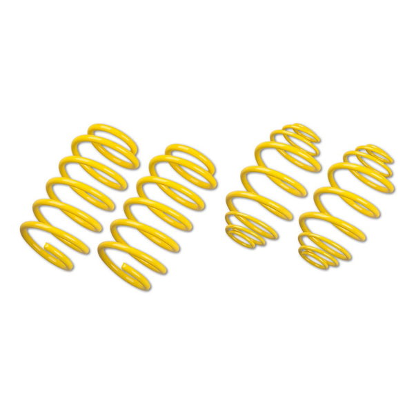 Suspension Techniques Lowering Kit (MPN: 65838)