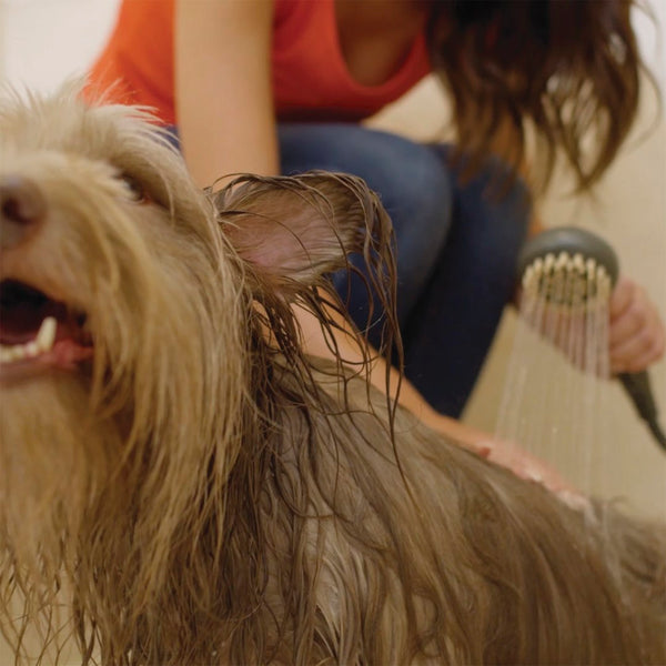 Oxygenics PawSpa Superwash (MPN: 70862)