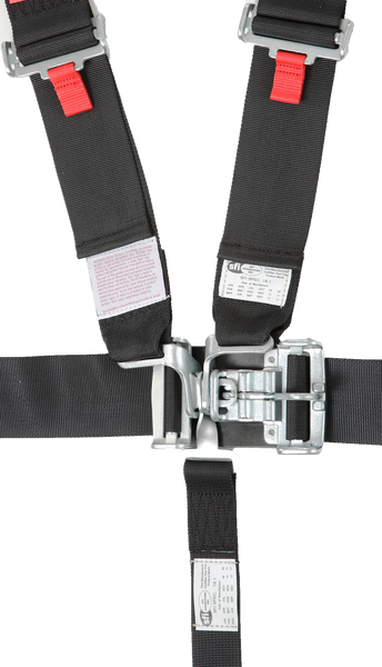 RaceQuip 5 Point Seat Belt (MPN: 711001)