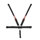 RaceQuip 5 Point Seat Belt (MPN: 717007)