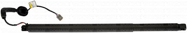 Dorman Liftgate Lift Support (MPN: 747-041)