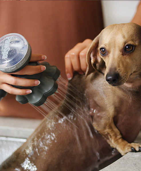 Oxygenics PawSpa ShampoochPro Handheld Washer (MPN: 78166)