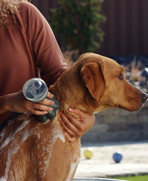 Oxygenics PawSpa ShampoochPro Handheld Washer (MPN: 78166)