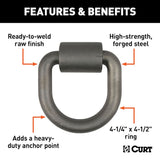 CURT D-Ring Heavy-Duty Anchor Point (MPN: 83760)