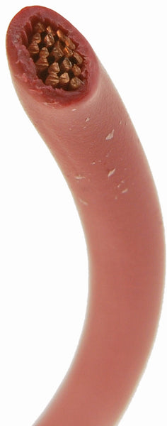 Dorman Primary Wire Red 12 Gauge (MPN: 85748)