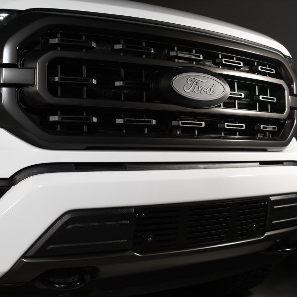 Putco Bumper Grille Insert (MPN: 88172)