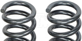 Dorman Coil Spring Replacement (MPN: 929-942)