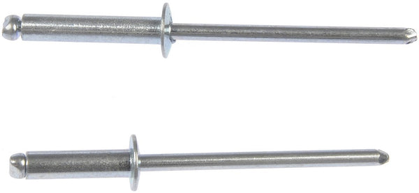 Dorman Steel Rivet Set (MPN: 961-020)